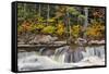 Lower Falls and autumn colors, Swift River, Lower Falls Recreation Site, Kancamagus, New Hampshire-Adam Jones-Framed Stretched Canvas