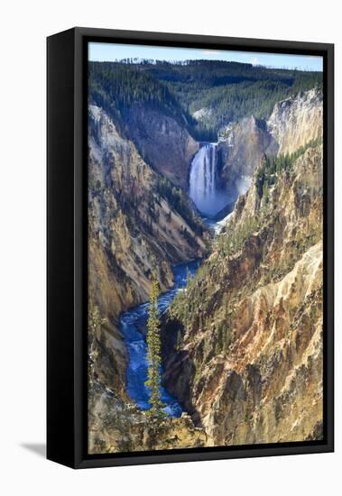 Lower Falls and the Grand Canyon of the Yellowstone, Yellowstone National Park, Wyoming, Usa-Eleanor Scriven-Framed Stretched Canvas