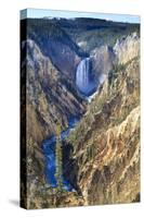 Lower Falls and the Grand Canyon of the Yellowstone, Yellowstone National Park, Wyoming, Usa-Eleanor Scriven-Stretched Canvas