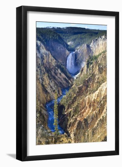 Lower Falls and the Grand Canyon of the Yellowstone, Yellowstone National Park, Wyoming, Usa-Eleanor Scriven-Framed Premium Photographic Print