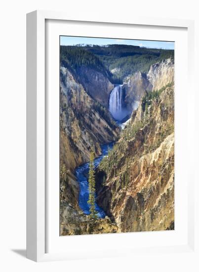 Lower Falls and the Grand Canyon of the Yellowstone, Yellowstone National Park, Wyoming, Usa-Eleanor Scriven-Framed Photographic Print