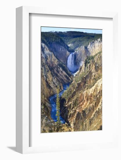 Lower Falls and the Grand Canyon of the Yellowstone, Yellowstone National Park, Wyoming, Usa-Eleanor Scriven-Framed Photographic Print