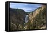 Lower Falls from Red Rock Point, Yellowstone Nat'l Pk, UNESCO Site, Wyoming, USA-Peter Barritt-Framed Stretched Canvas