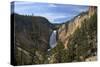 Lower Falls from Red Rock Point, Yellowstone Nat'l Pk, UNESCO Site, Wyoming, USA-Peter Barritt-Stretched Canvas