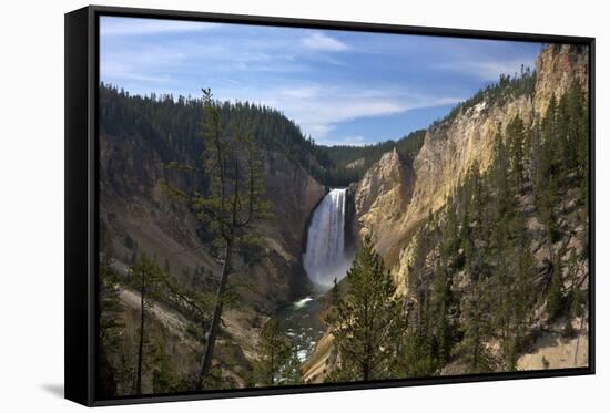 Lower Falls from Red Rock Point, Yellowstone Nat'l Pk, UNESCO Site, Wyoming, USA-Peter Barritt-Framed Stretched Canvas