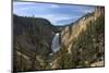 Lower Falls from Red Rock Point, Yellowstone Nat'l Pk, UNESCO Site, Wyoming, USA-Peter Barritt-Mounted Premium Photographic Print