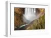 Lower Falls, Grand Canyon of the Yellowstone, Yellowstone National Park.-Adam Jones-Framed Photographic Print