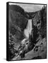 Lower Falls in the Grand Canyon of the Yellowstone-null-Framed Stretched Canvas