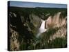 Lower Falls in Yellowstone National Park-Dean Conger-Stretched Canvas