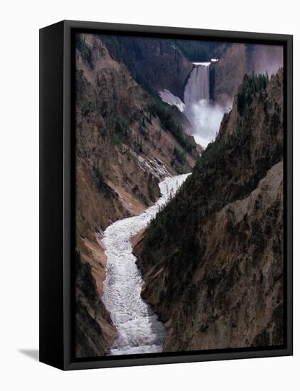 Lower Falls of the Yellowstone River, Yellowstone National Park, Wyoming, USA-Dee Ann Pederson-Framed Stretched Canvas