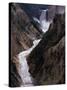 Lower Falls of the Yellowstone River, Yellowstone National Park, Wyoming, USA-Dee Ann Pederson-Stretched Canvas