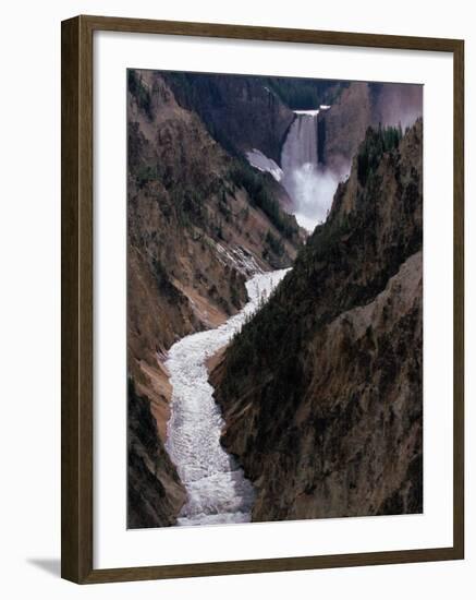 Lower Falls of the Yellowstone River, Yellowstone National Park, Wyoming, USA-Dee Ann Pederson-Framed Premium Photographic Print