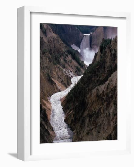 Lower Falls of the Yellowstone River, Yellowstone National Park, Wyoming, USA-Dee Ann Pederson-Framed Photographic Print