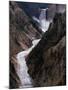 Lower Falls of the Yellowstone River, Yellowstone National Park, Wyoming, USA-Dee Ann Pederson-Mounted Photographic Print