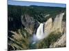 Lower Falls of Yellowstone River, 94M High at Head of Canyon, Yellowstone National Park, Wyoming-Tony Waltham-Mounted Photographic Print