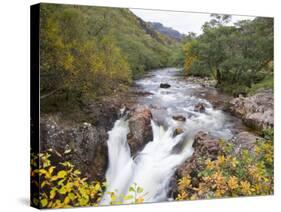 Lower Falls on the Water of Nevis in Autumn, Glen Nevis, Near Fort William-Ruth Tomlinson-Stretched Canvas