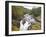 Lower Falls on the Water of Nevis in Autumn, Glen Nevis, Near Fort William-Ruth Tomlinson-Framed Photographic Print