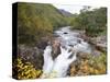 Lower Falls on the Water of Nevis in Autumn, Glen Nevis, Near Fort William-Ruth Tomlinson-Stretched Canvas