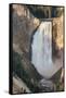 Lower Falls, Yellowstone National Park, Wyoming-Michael DeFreitas-Framed Stretched Canvas
