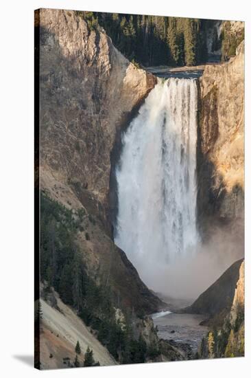 Lower Falls, Yellowstone National Park, Wyoming-Michael DeFreitas-Stretched Canvas