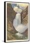 Lower Falls, Yellowstone River-null-Framed Stretched Canvas