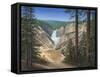 Lower Falls - Yellowstone-Robert Wavra-Framed Stretched Canvas