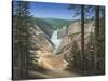 Lower Falls - Yellowstone-Robert Wavra-Stretched Canvas