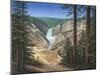 Lower Falls - Yellowstone-Robert Wavra-Mounted Giclee Print