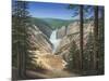 Lower Falls - Yellowstone-Robert Wavra-Mounted Giclee Print