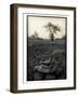 Lower Jaw of Animal Skull on Parched Mud in Selous Game Reserve, Tanzania-Paul Joynson Hicks-Framed Photographic Print