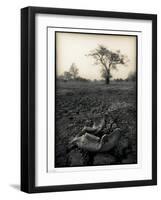 Lower Jaw of Animal Skull on Parched Mud in Selous Game Reserve, Tanzania-Paul Joynson Hicks-Framed Photographic Print