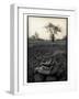 Lower Jaw of Animal Skull on Parched Mud in Selous Game Reserve, Tanzania-Paul Joynson Hicks-Framed Photographic Print