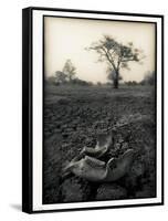 Lower Jaw of Animal Skull on Parched Mud in Selous Game Reserve, Tanzania-Paul Joynson Hicks-Framed Stretched Canvas