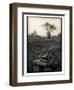 Lower Jaw of Animal Skull on Parched Mud in Selous Game Reserve, Tanzania-Paul Joynson Hicks-Framed Photographic Print