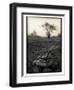 Lower Jaw of Animal Skull on Parched Mud in Selous Game Reserve, Tanzania-Paul Joynson Hicks-Framed Photographic Print