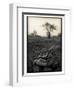 Lower Jaw of Animal Skull on Parched Mud in Selous Game Reserve, Tanzania-Paul Joynson Hicks-Framed Photographic Print