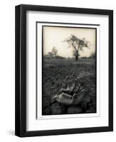 Lower Jaw of Animal Skull on Parched Mud in Selous Game Reserve, Tanzania-Paul Joynson Hicks-Framed Premium Photographic Print