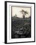 Lower Jaw of Animal Skull on Parched Mud in Selous Game Reserve, Tanzania-Paul Joynson Hicks-Framed Premium Photographic Print