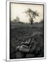 Lower Jaw of Animal Skull on Parched Mud in Selous Game Reserve, Tanzania-Paul Joynson Hicks-Mounted Premium Photographic Print