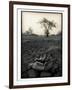 Lower Jaw of Animal Skull on Parched Mud in Selous Game Reserve, Tanzania-Paul Joynson Hicks-Framed Photographic Print