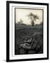 Lower Jaw of Animal Skull on Parched Mud in Selous Game Reserve, Tanzania-Paul Joynson Hicks-Framed Photographic Print