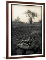 Lower Jaw of Animal Skull on Parched Mud in Selous Game Reserve, Tanzania-Paul Joynson Hicks-Framed Photographic Print