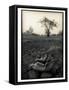 Lower Jaw of Animal Skull on Parched Mud in Selous Game Reserve, Tanzania-Paul Joynson Hicks-Framed Stretched Canvas