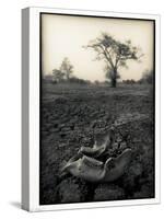 Lower Jaw of Animal Skull on Parched Mud in Selous Game Reserve, Tanzania-Paul Joynson Hicks-Stretched Canvas