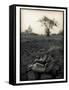 Lower Jaw of Animal Skull on Parched Mud in Selous Game Reserve, Tanzania-Paul Joynson Hicks-Framed Stretched Canvas