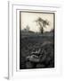 Lower Jaw of Animal Skull on Parched Mud in Selous Game Reserve, Tanzania-Paul Joynson Hicks-Framed Photographic Print