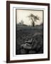 Lower Jaw of Animal Skull on Parched Mud in Selous Game Reserve, Tanzania-Paul Joynson Hicks-Framed Photographic Print