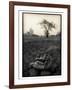 Lower Jaw of Animal Skull on Parched Mud in Selous Game Reserve, Tanzania-Paul Joynson Hicks-Framed Photographic Print