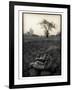 Lower Jaw of Animal Skull on Parched Mud in Selous Game Reserve, Tanzania-Paul Joynson Hicks-Framed Photographic Print