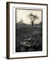 Lower Jaw of Animal Skull on Parched Mud in Selous Game Reserve, Tanzania-Paul Joynson Hicks-Framed Photographic Print